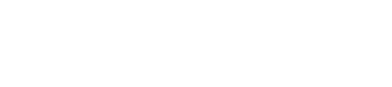 mpm - transportamos confianza